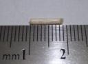 r100_2841.jpg