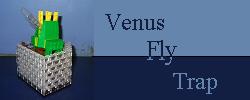 flytrap.jpg