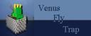flytrap.jpg