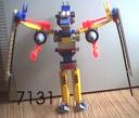 7131a.jpg