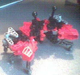 crab.jpg