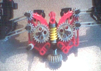 crabinside1.jpg