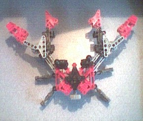 crabopen.jpg