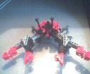 crab2.jpg