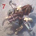 flystep7.jpg