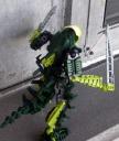 grasshopper5.jpg