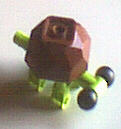 turtle.jpg