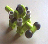 turtlewithoutshell.jpg