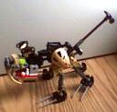 rat3.jpg