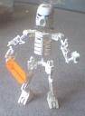 skeleton3.jpg