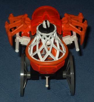 spider2.jpg