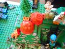 dscn4810.jpg