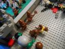 dscn4957.jpg