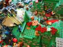 dscn5067.jpg