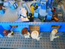 dscn5126.jpg