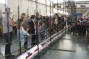 pals_101.jpg