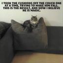 magic-cat-meme.jpg