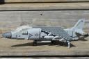 Harrier