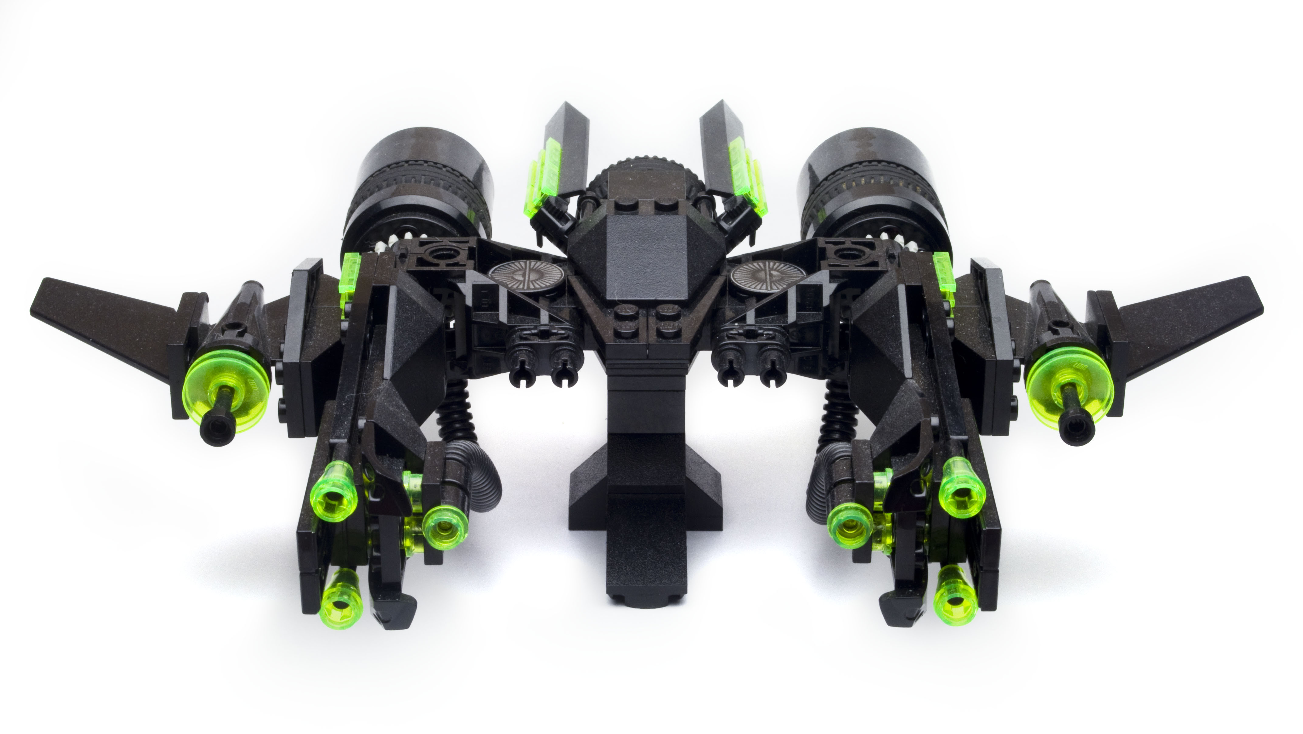 accipiter02.jpg