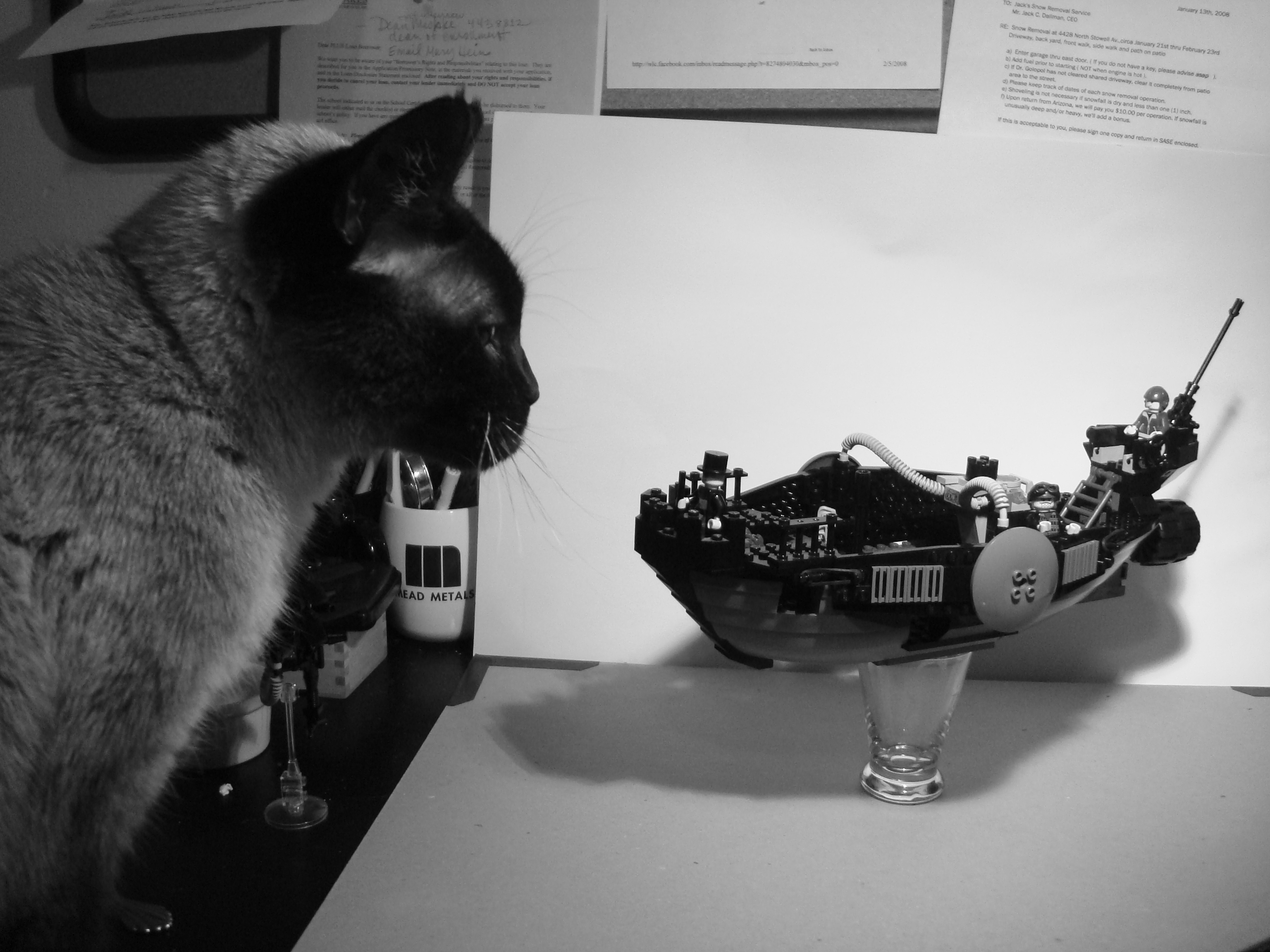 dsc02811.jpg