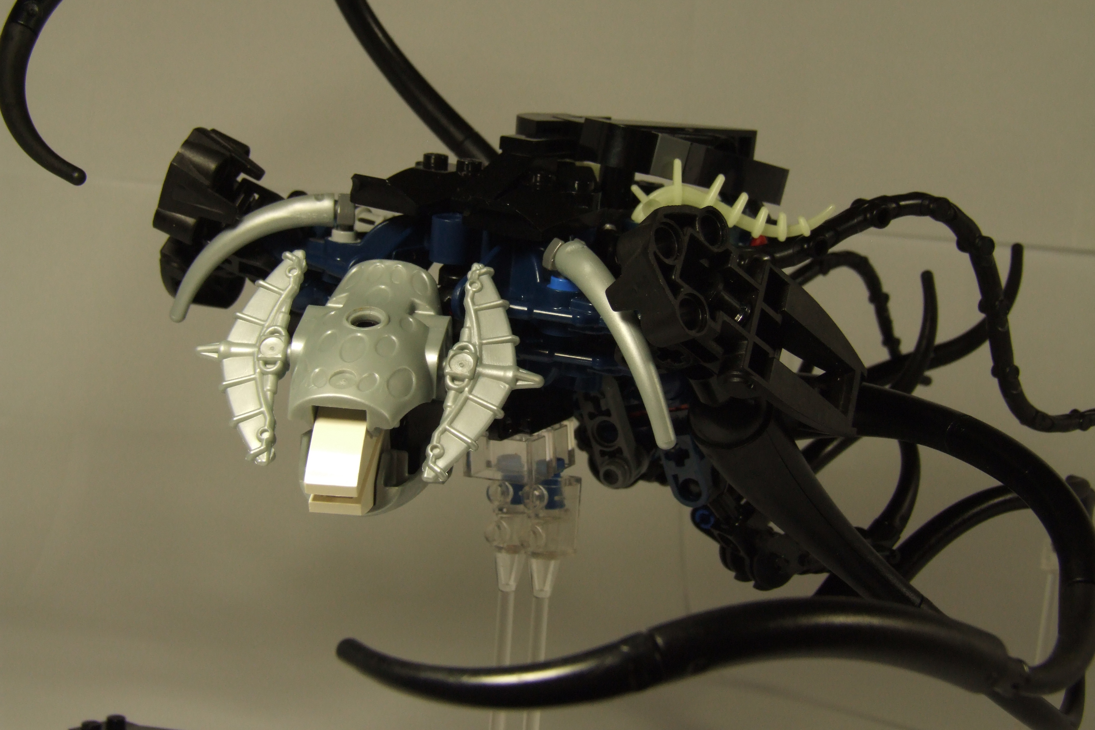 dscf2880.jpg