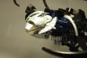 dscf2s873.jpg