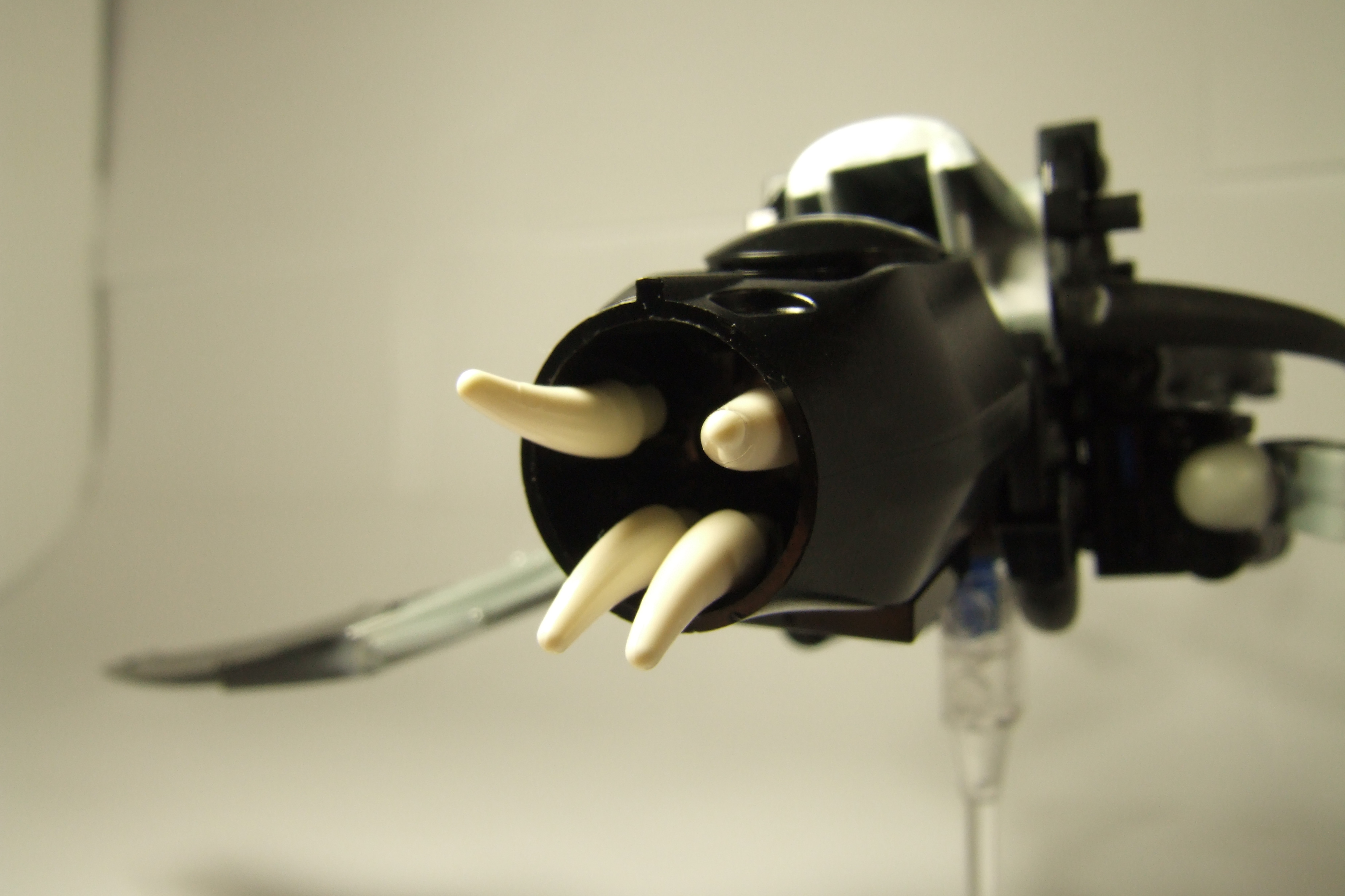 dscf2841.jpg
