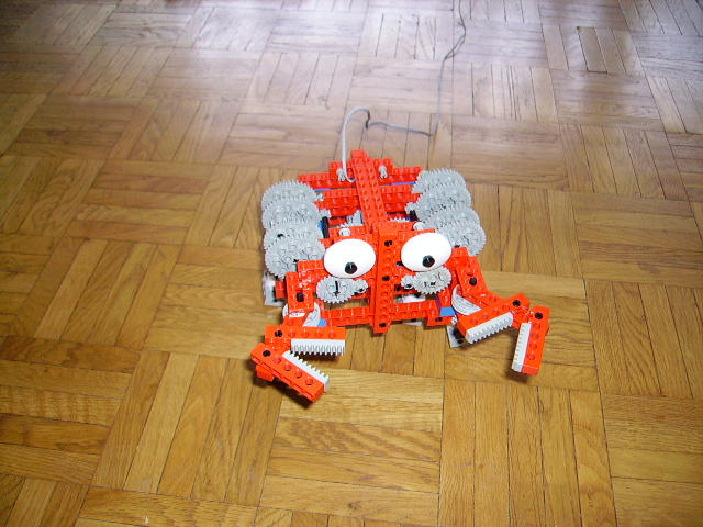 crab_01.jpg