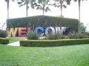 dsc00775.jpg