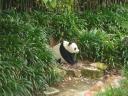 dsc01279.jpg