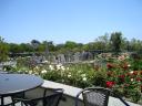 dsc01808.jpg