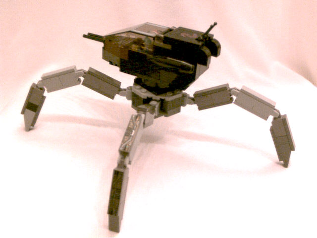 tarantula_rear.jpg