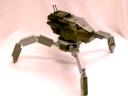 Tarantula