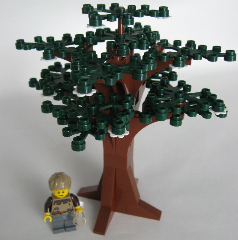 12_tree1.jpg