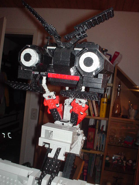 head02.jpg