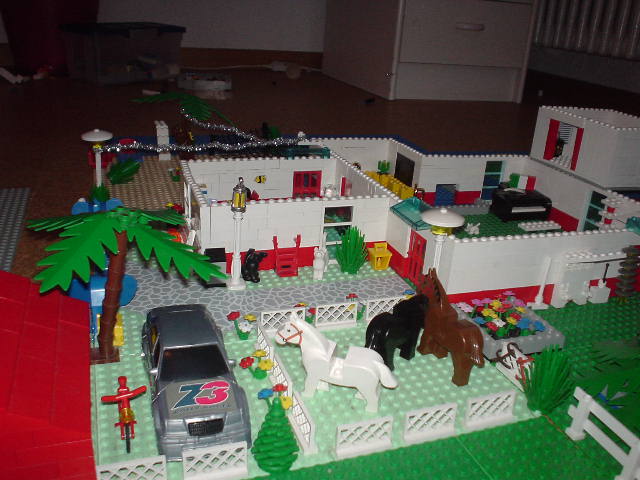 dsc00428.jpg