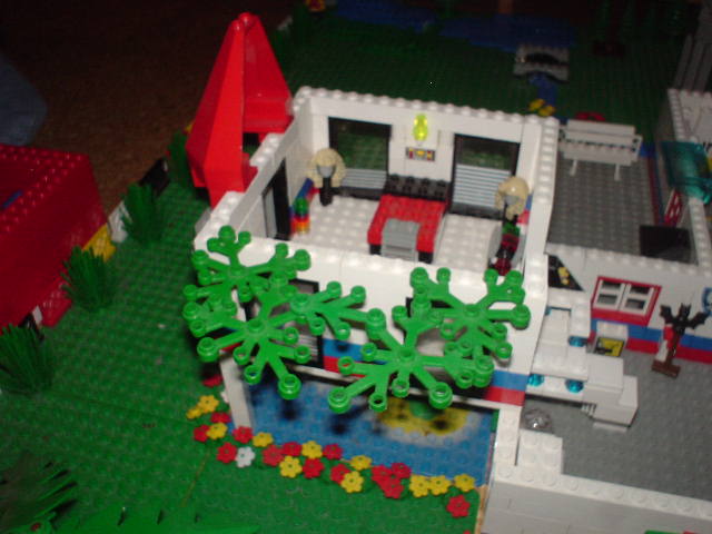 dsc00430.jpg