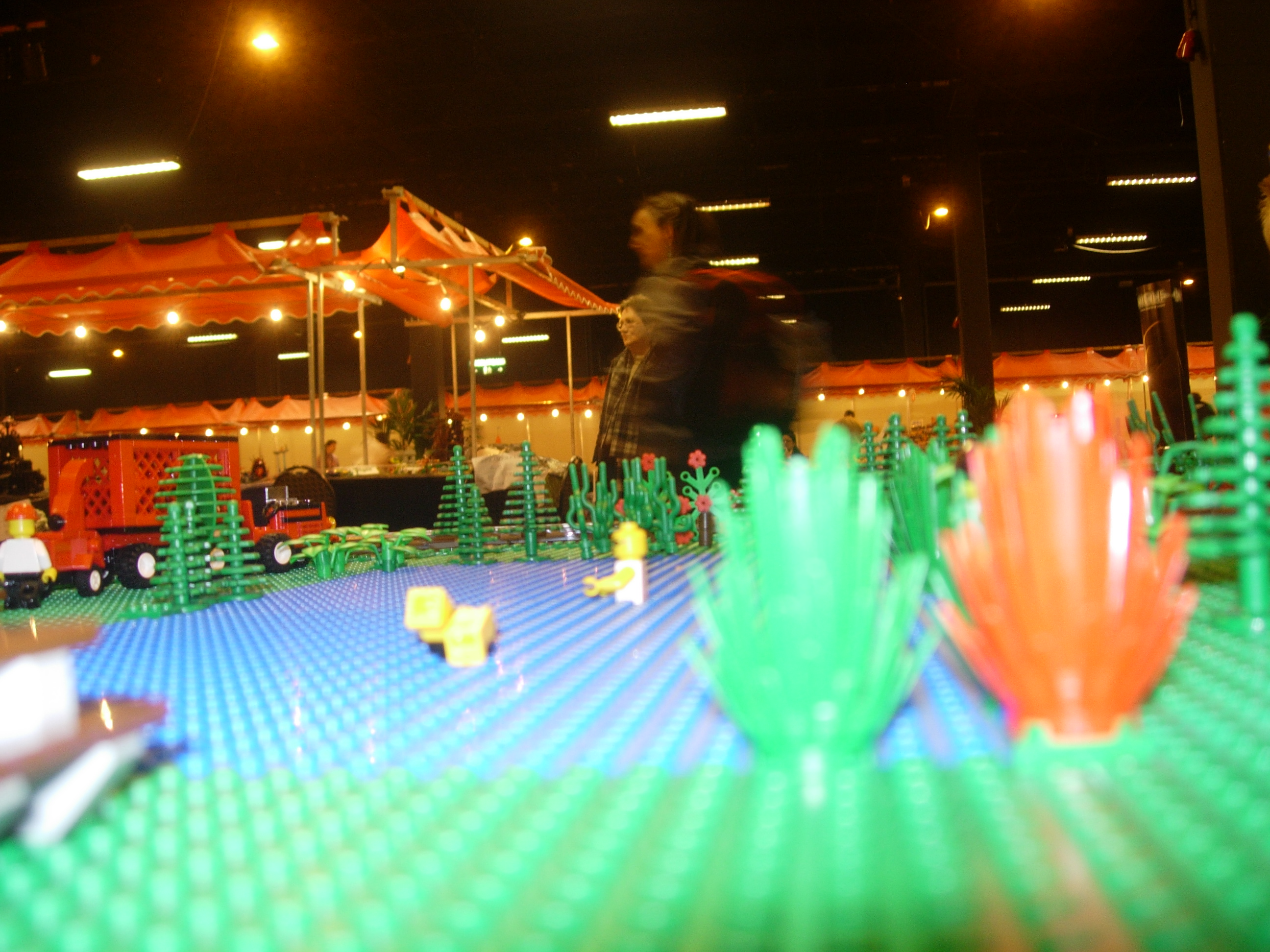 dscn2473.jpg