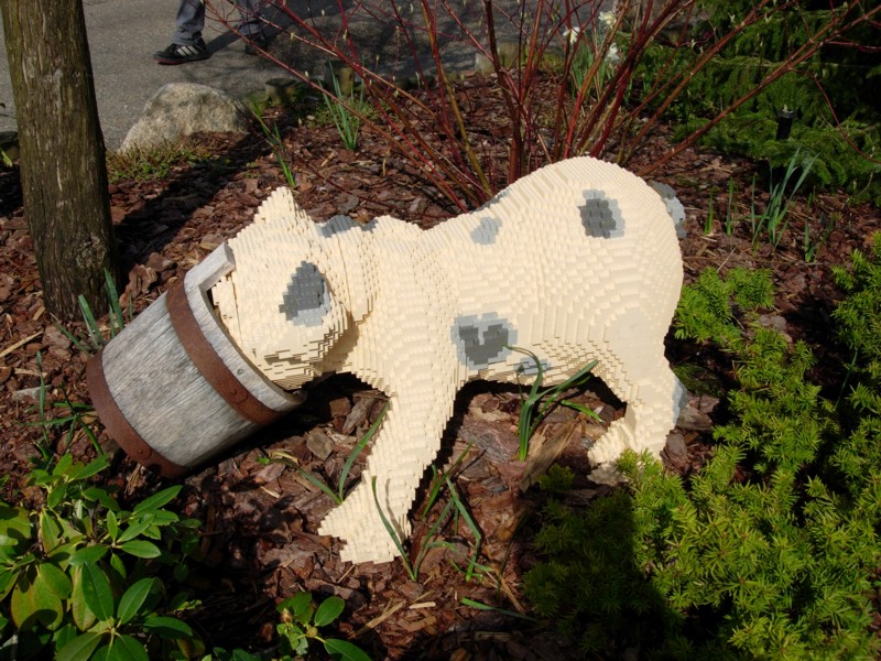 dscn0291.jpg