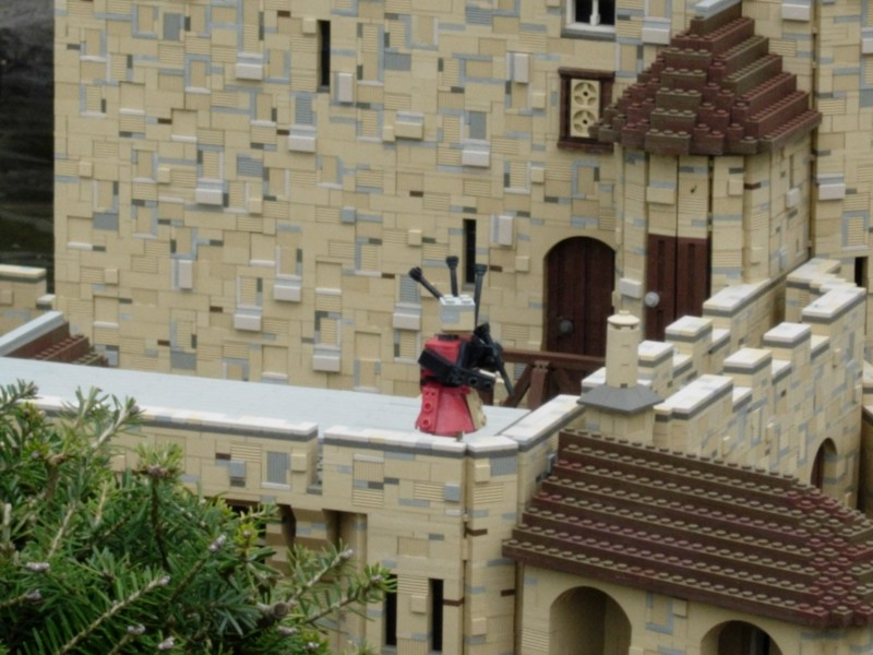 dscn0347.jpg