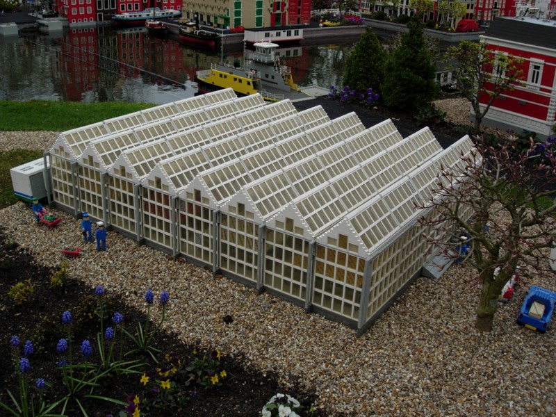 dscn0411.jpg