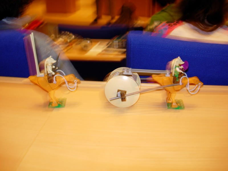 dscn0436.jpg
