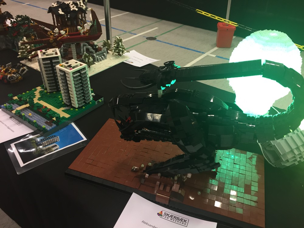sfw114.jpg