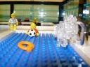 pool004.jpg