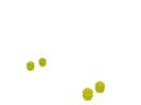 001.gif