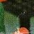 puzzel03b.jpg