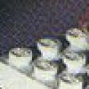 002a.jpg