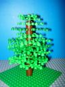 tree02.jpg