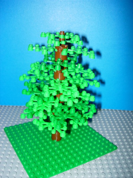 tree01.jpg