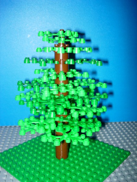 tree02.jpg